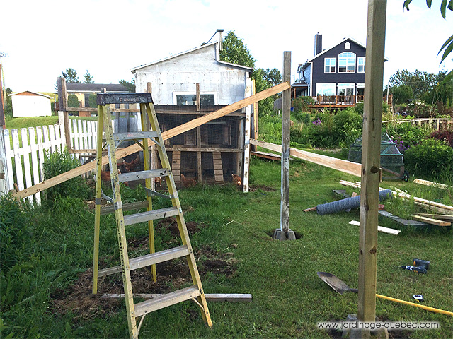 Volière et poulailler - Achat Poulailler