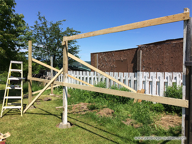 Aménager une volière pour oiseaux