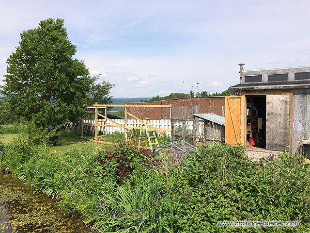 Une volière pour les oiseaux - Achat et vente