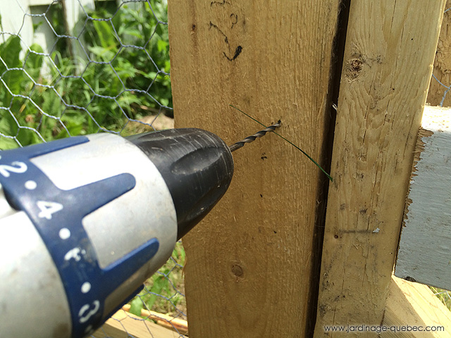 Conception de volières pour oiseaux