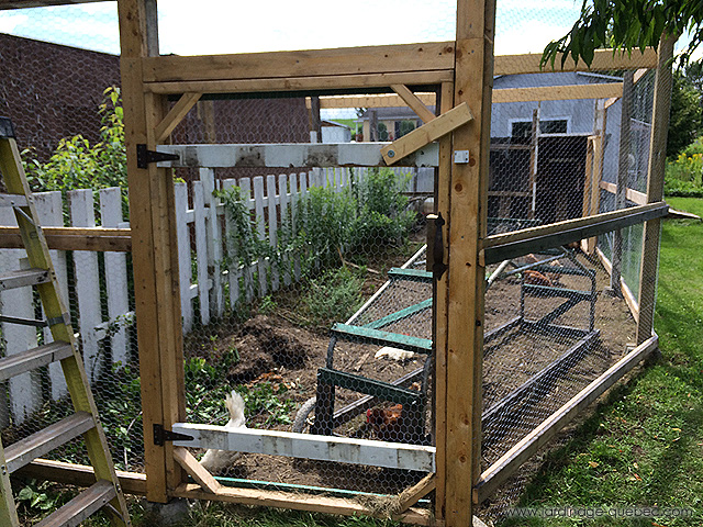 Volière et poulailler mobile