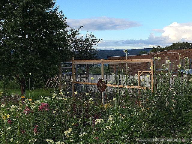 Volière pour oiseaux - Achat vente volière