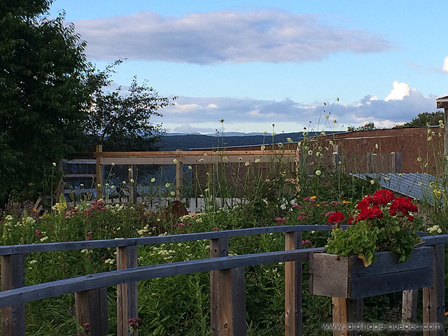 Poulailler et volière - Comment construire une volière