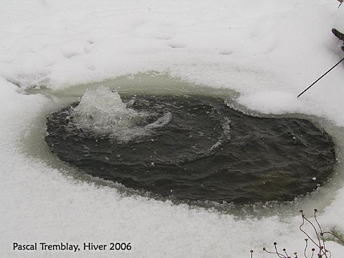 Déglaceur à bassin - Dégivreur pour bassin - Bulleur pour bassin
