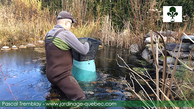 Choisir l'emplacement pour déposer le déglaceur dégivreur pour bassin