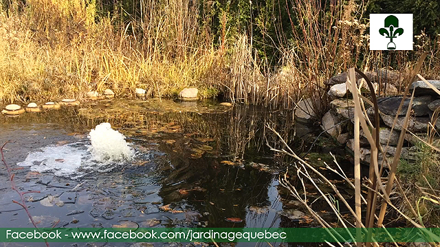 Installer et mettre en opération un déglaceur pour bassin de jardin