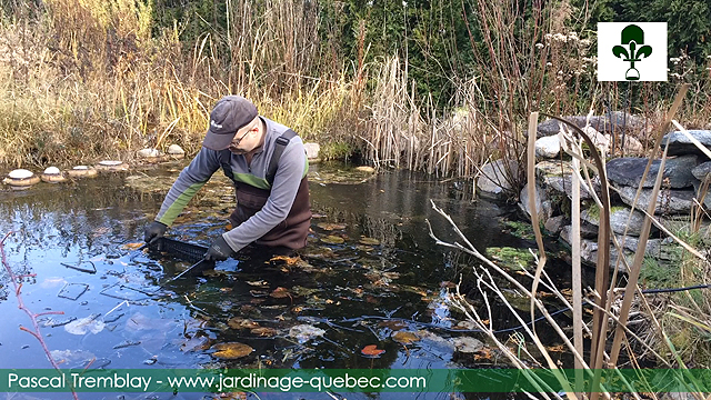 Déglaçage d'un bassin de jardin - Conseils pratiques