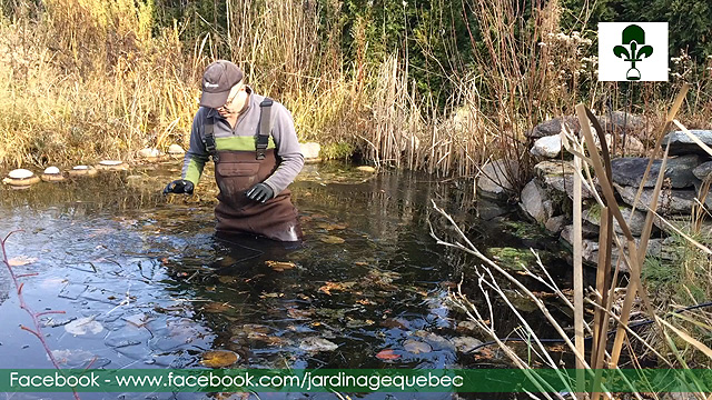 Immerger un déglaceur ou dégivreur ou bulleur pour bassin de jardin