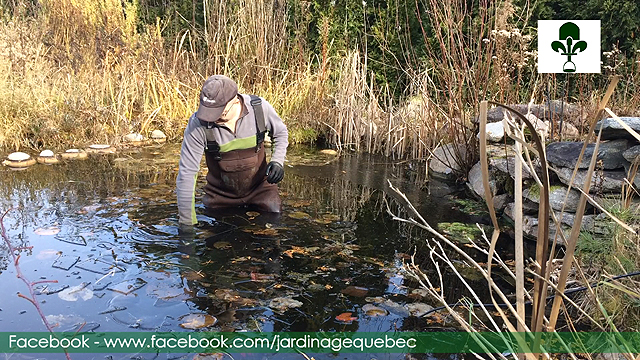 Garder ses poissons durant l'hiver - Installer un déglaceur