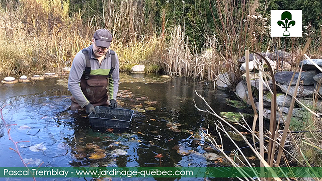 Guide d'installation d'un déglaceur ou dégivreur pour bassin extérieur