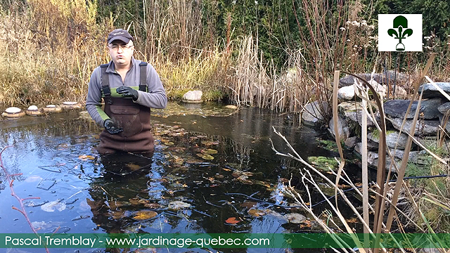 Trucs pour installer un déglaceur maison au bassin de jardin