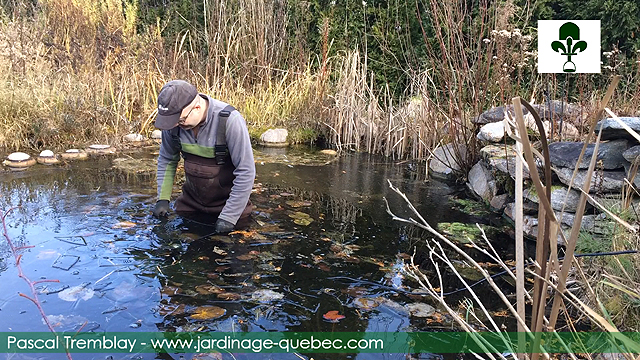Choisir l'emplacement idéal pour installer un déglaceur pour bassin à poissons