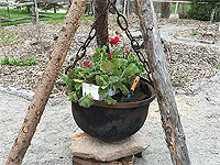 Bac fleuri - Créer un chaudron en fonte fleuri