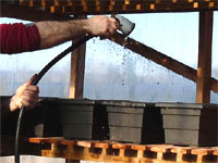 Fertilisation et arrosage des fleurs annuelles - Construire et remplir des jardinières