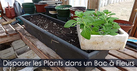 Comment faire des jardinières pots et bac à fleurs - Planter les plants de fleurs dans les contenants ou bacs