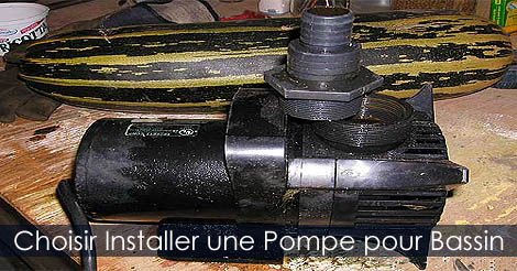 Pompe pour bassin de jardin - Pompe pour jadin d'eau - Choisir la pompe de son bassin extérieur - Comment installer une pompe au bassin