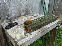 Fabriquer un Poulailler portable - Plan de poulailler portable - Conseils basse-cour