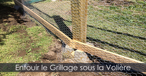 Enfouir le grillage sous un poulailler ou une volière