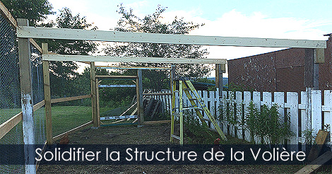 Solidifier la structure d'une volière