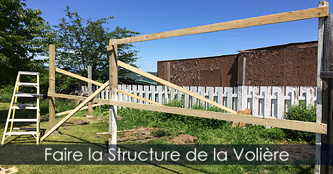Volière pour oiseaux - Structure d'une Volière