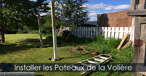Volière extérieure - Installation des poteaux