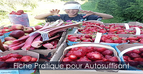 Livres autosuffisance