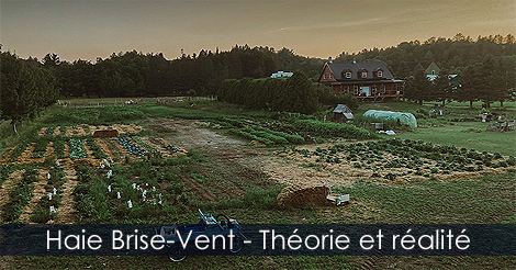 Haie Brise-Vent - Théorie à la pratique