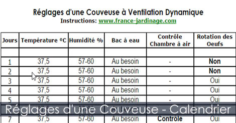 Calendrier ou charte des réglages d'une couveuse automatique lors de l'incubation des oeufs de poules