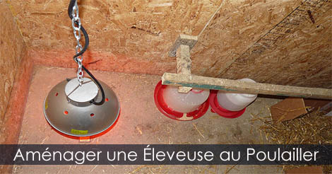 Poussinière - Comment élever les poussins - Guide d'élevage des poussins après l'éclosion - Aménager une éleveuse ou poussinière au poulailler