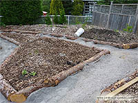 Conception d'un Potager en Façade - Aménager les allées - Étendre le gravier dans les allées de jardin