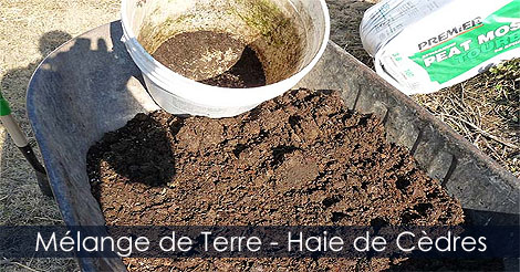 Terre pour haie de cèdres - Terreau pour cèdres - Mélange de terre et mousse de tourbe pour la plantation des cèdres à haie - Planter une haie de cèdres