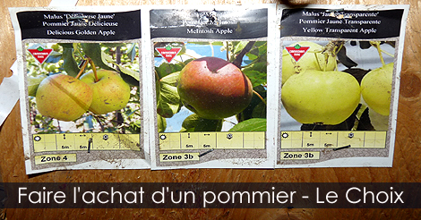 Comment acheter un pommier - Choisir un pommier
