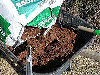 Terreau de plantation pour pommier