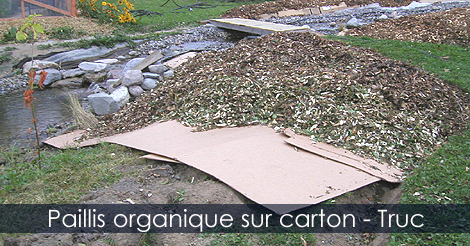 Paillis organique