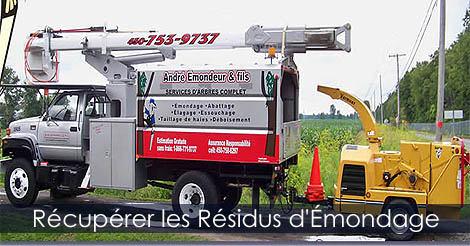 Service d'émondage et d'élagage - Service d'abattage d'arbres - Trouver un émondeurs - Bois raméal fragmenté