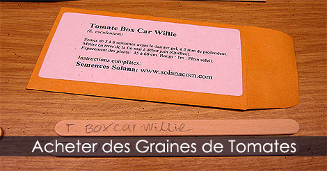 Graines de tomates
