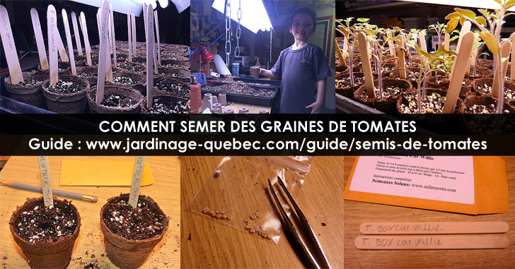 Semer des graines de tomates
