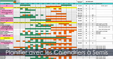 Calendrier des semis