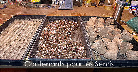 Contenants pour les semis - Faire les semis à l'intérieur