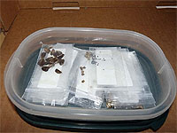 Germination des graines ou semences au froid - Trucs pour faire germer les graines - Stratification simple Tutoriel