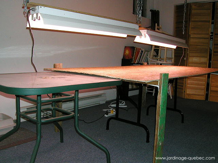 Table de plantation pour semis intérieurs - Photos Jardin Le Jardin des Patriotes - Pascal Tremblay La Baie Québec