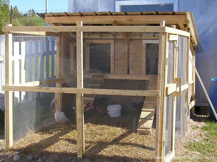 Construire un Poulailler - Photos Jardin Le Jardin des Patriotes - Pascal Tremblay La Baie Québec