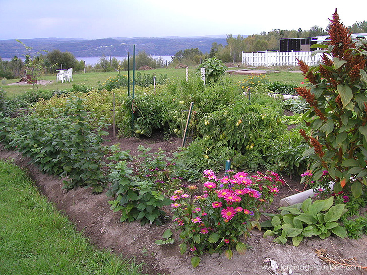 Le Potager - Photos Jardin Le Jardin des Patriotes - Pascal Tremblay La Baie Québec