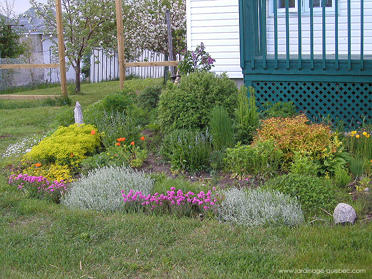 Plate-Bande - Photos Jardin Le Jardin des Patriotes - Pascal Tremblay La Baie Québec