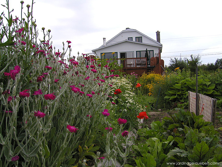 Fleurs au jardin potager - Photos Jardin Le Jardin des Patriotes - Pascal Tremblay La Baie Québec