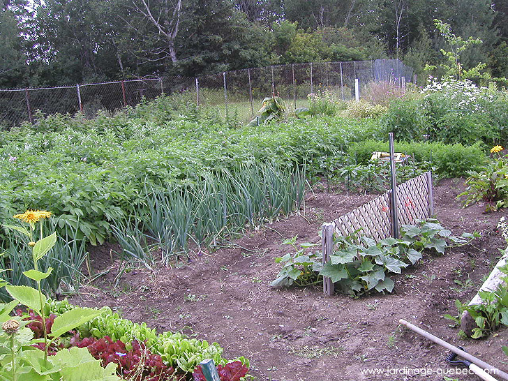 Le Jardin Potager québécois - Photos Jardin Le Jardin des Patriotes - Pascal Tremblay La Baie Québec