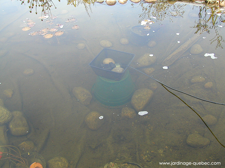 Déglaceur pour Bassin en Hiver - Photos Jardin Le Jardin des Patriotes - Pascal Tremblay La Baie Québec