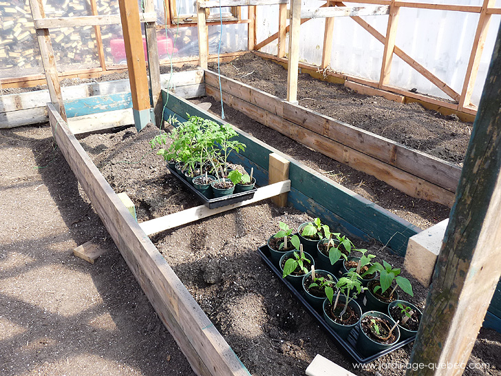 Serre de jardin - Bacs de culture au sol