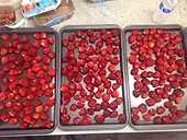 Autosuffisance en fraises