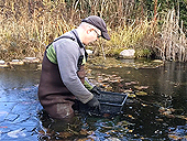 Déglaceur pour Bassin - Fabrication et Installation